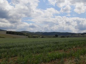 Rhoen-Radmarathon Nichtraucher 610